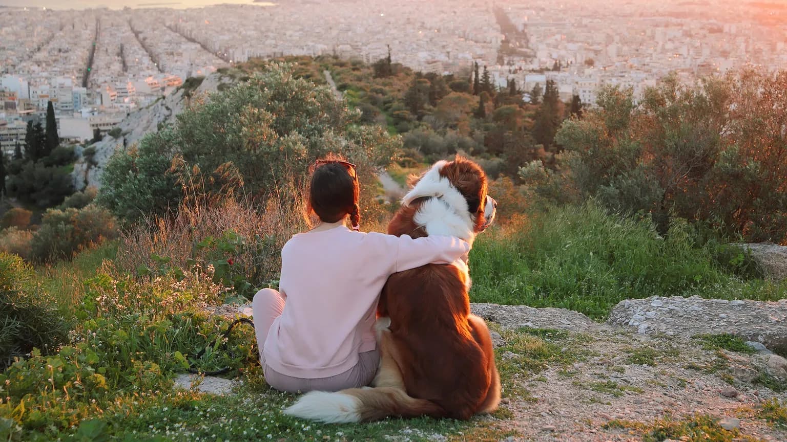 Greek residence permit types in 2026: work, invest, or retire with ease